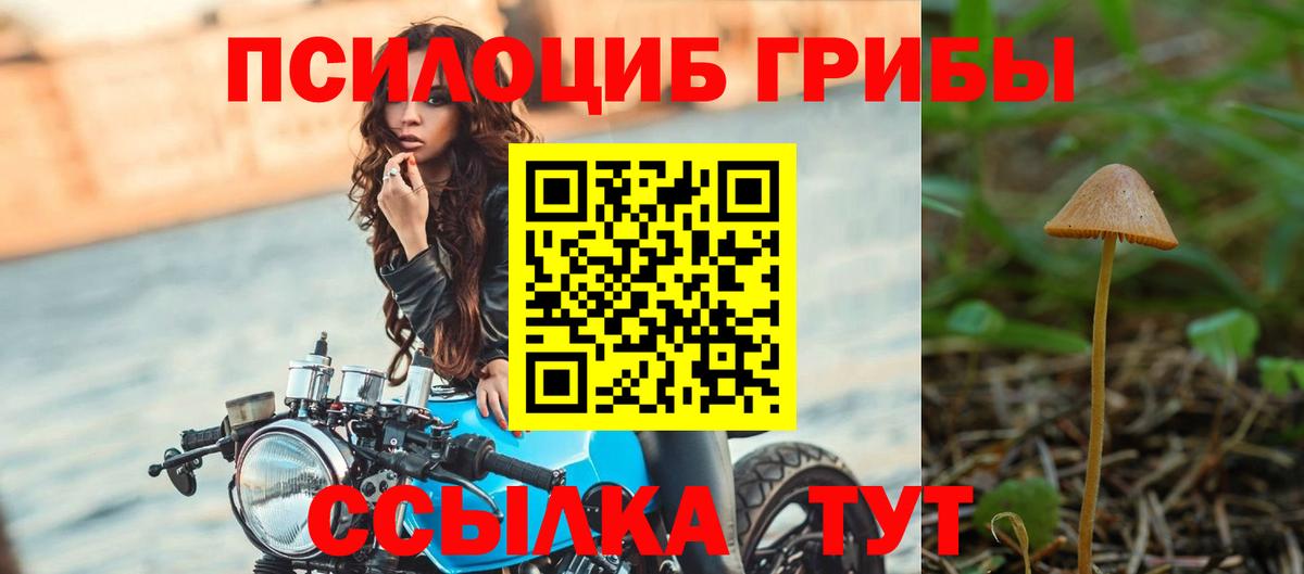 Куйбышев  Галлюциногенные грибы Cubensis  Вход с VPN  Псилоцибиновые грибы GOLDEN TEACHER 