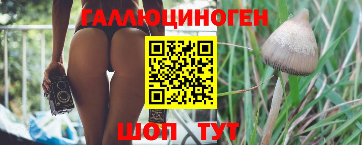 Галлюциногенные грибы мицелий Куйбышев
