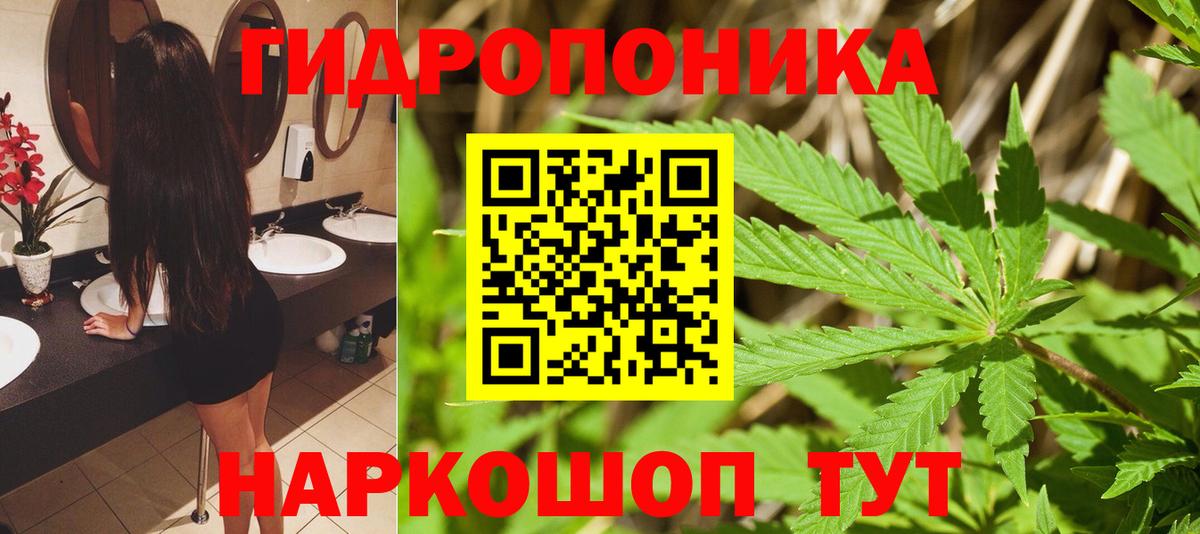 Бошки марихуана AK-47 Куйбышев
